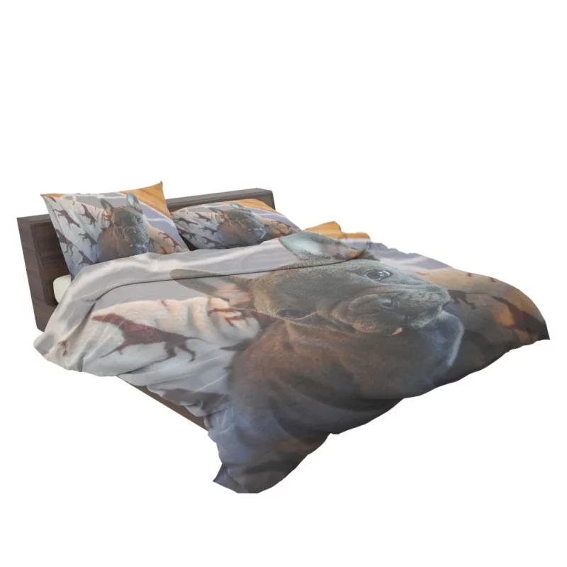 French Bulldog Adorable Antics Furry Delight Bedding Set 2