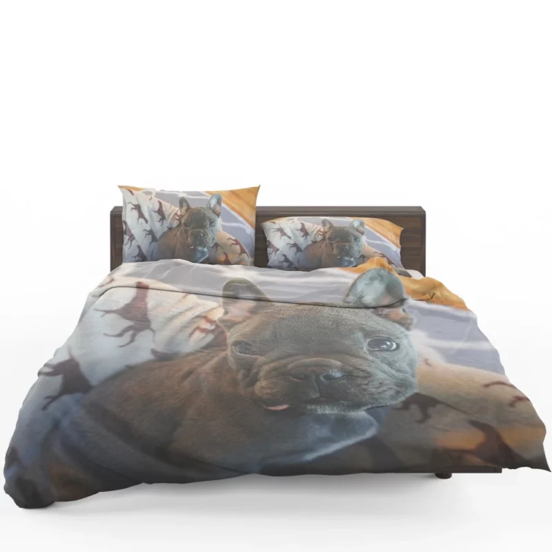 French Bulldog Adorable Antics Furry Delight Bedding Set