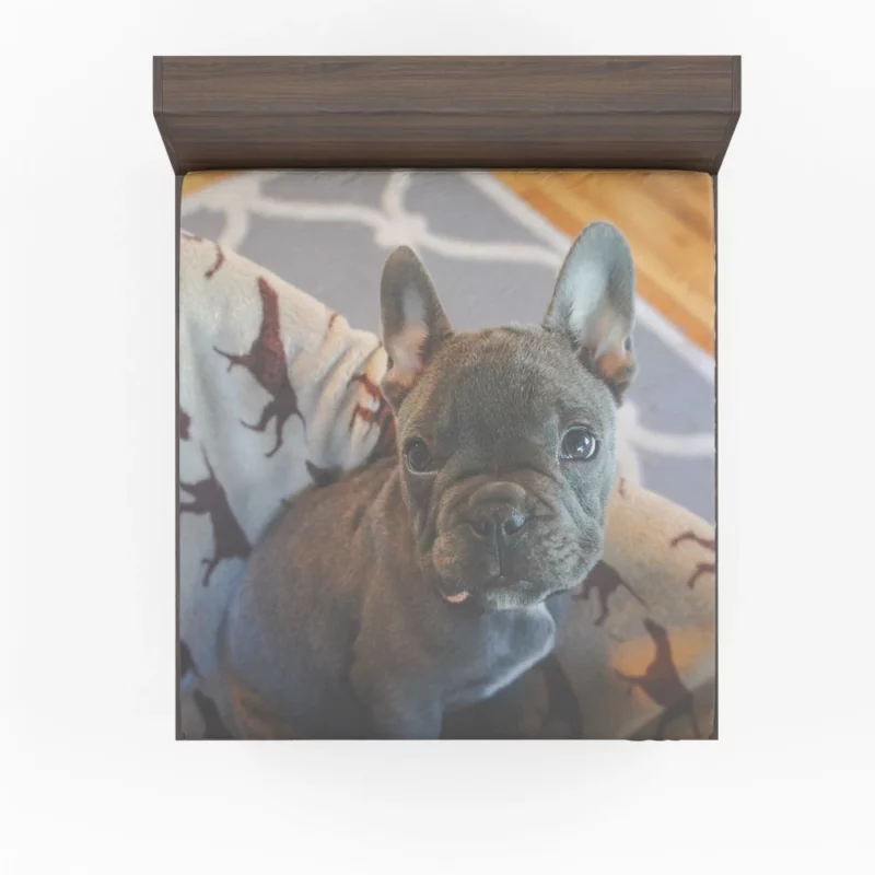 French Bulldog Adorable Antics Furry Delight Fitted Sheet 1