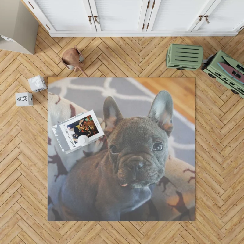 French Bulldog Adorable Antics Furry Delight Rug