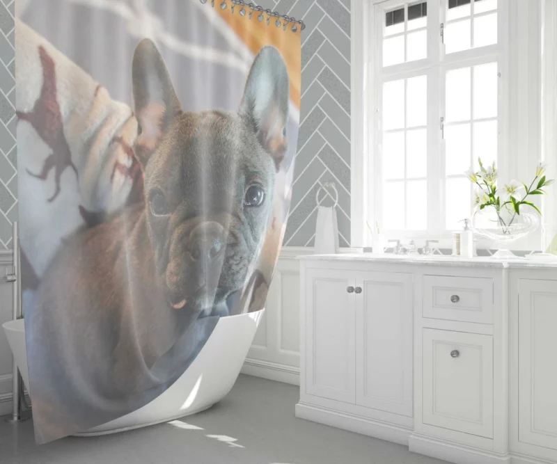 French Bulldog Adorable Antics Furry Delight Shower Curtain 1