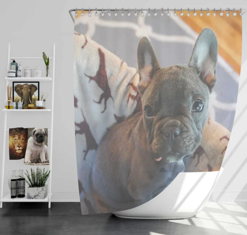 French Bulldog Adorable Antics Furry Delight Shower Curtain