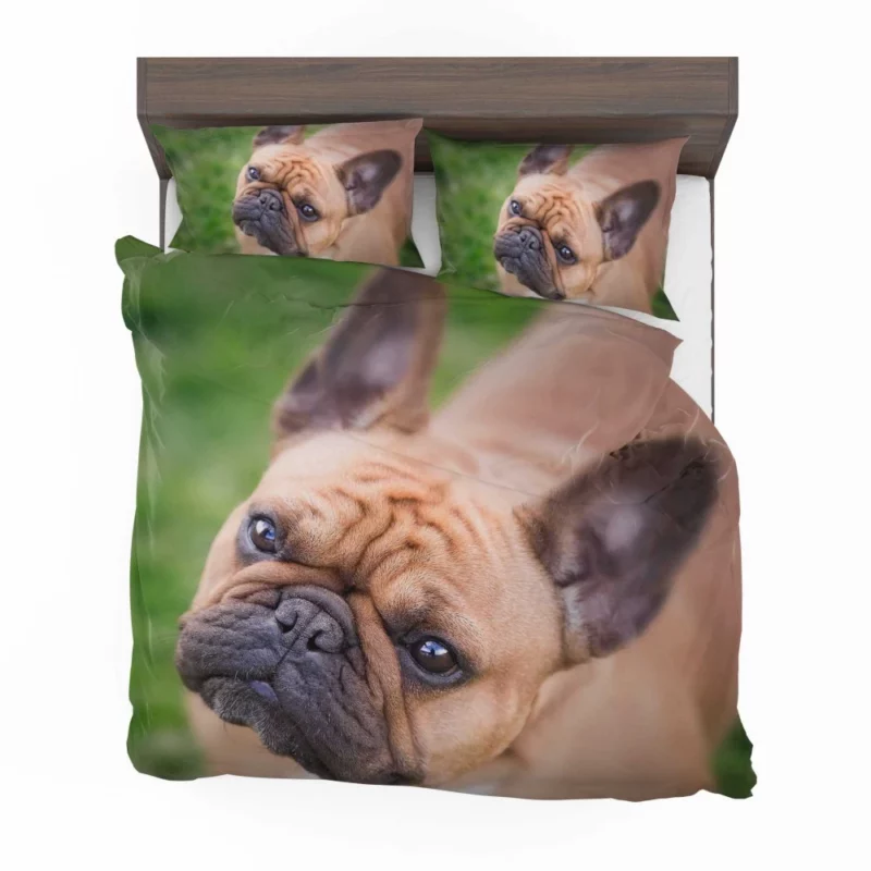 French Bulldog Adorable Antics Furry Joy Bedding Set 1