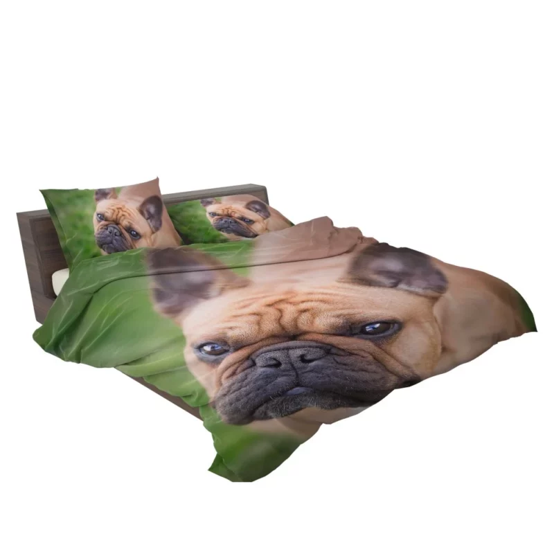 French Bulldog Adorable Antics Furry Joy Bedding Set 2