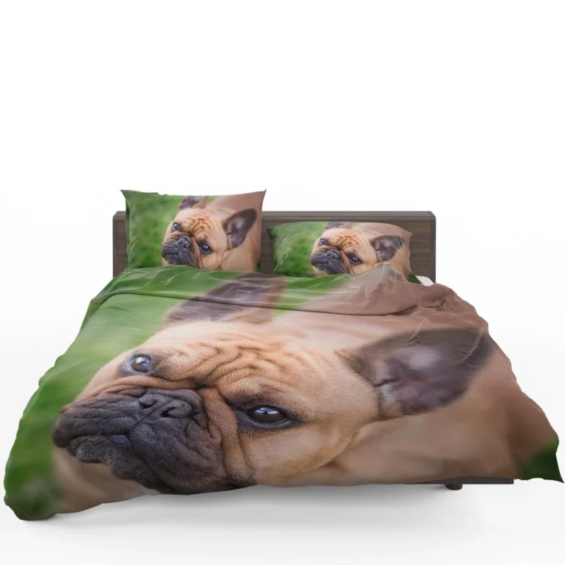 French Bulldog Adorable Antics Furry Joy Bedding Set