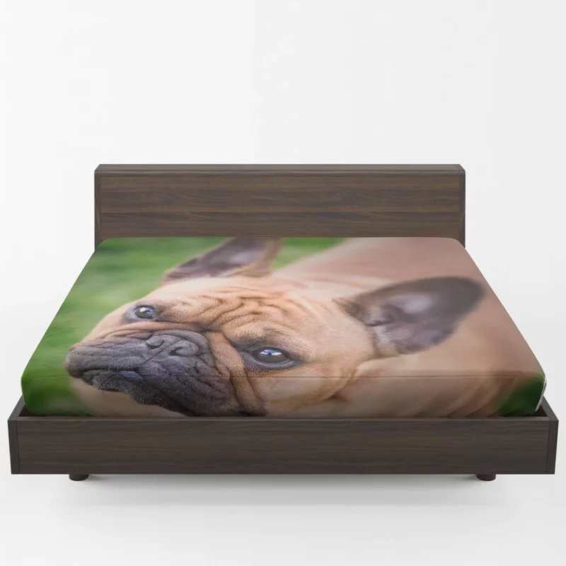 French Bulldog Adorable Antics Furry Joy Fitted Sheet