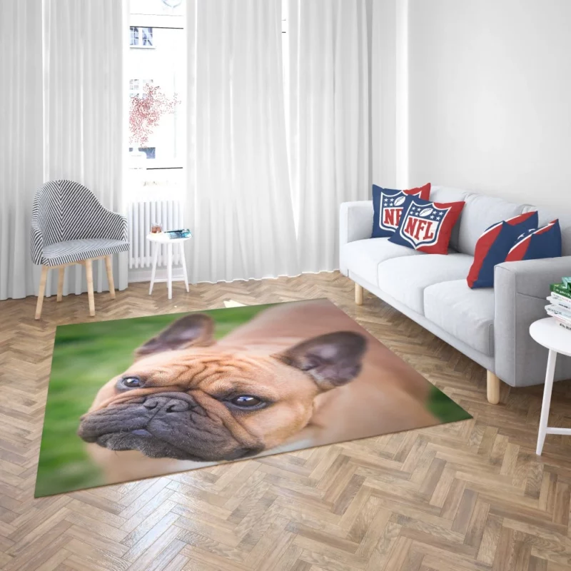 French Bulldog Adorable Antics Furry Joy Rug 2