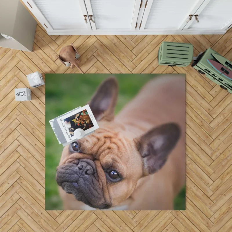 French Bulldog Adorable Antics Furry Joy Rug