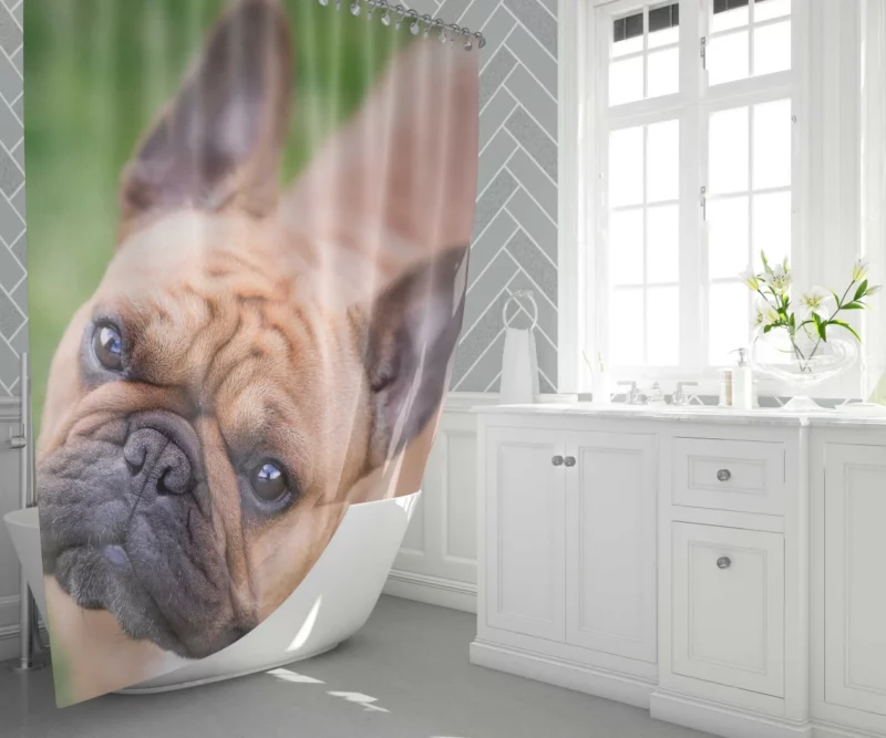 French Bulldog Adorable Antics Furry Joy Shower Curtain 1