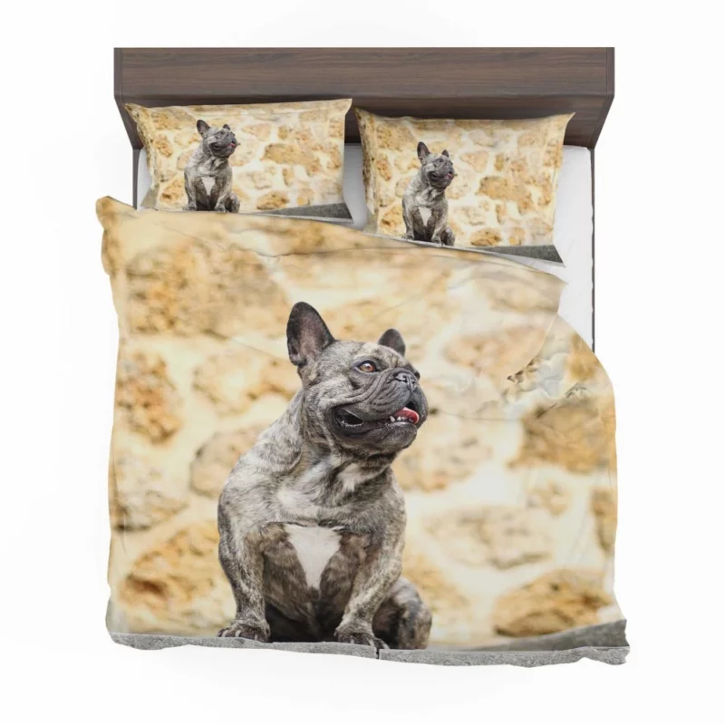 French Bulldog Adorable Charisma Playful Wonder Bedding Set 1