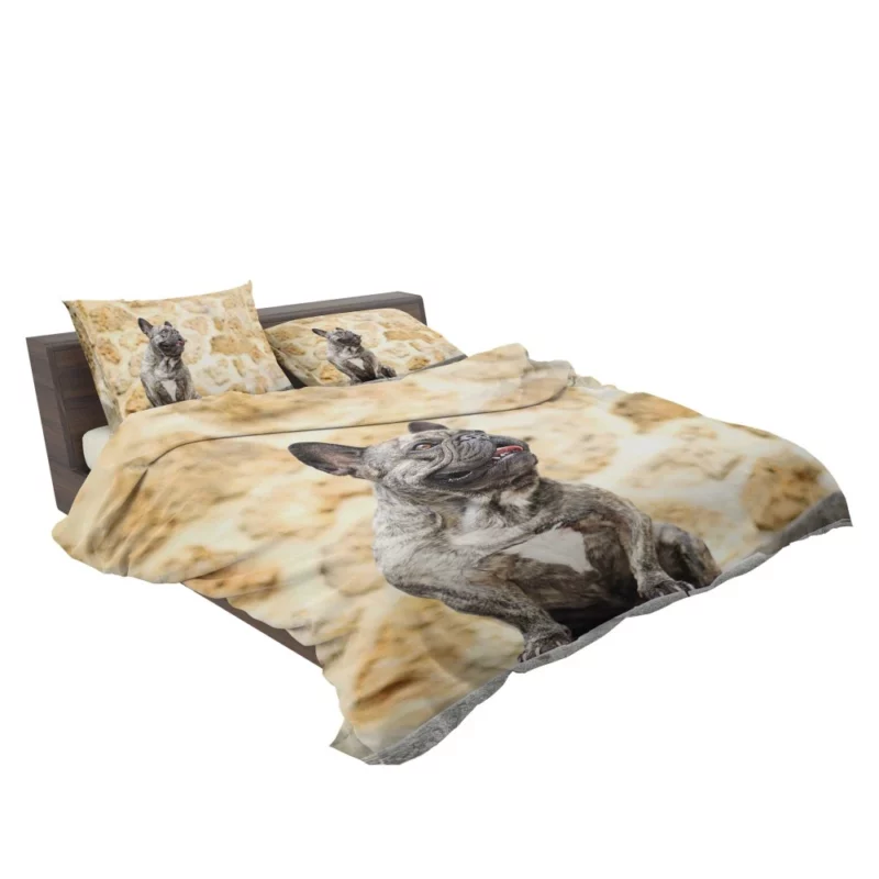 French Bulldog Adorable Charisma Playful Wonder Bedding Set 2