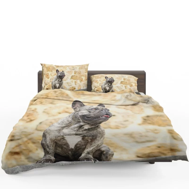 French Bulldog Adorable Charisma Playful Wonder Bedding Set