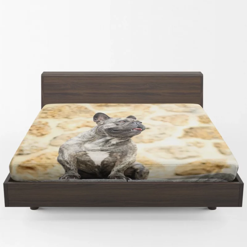 French Bulldog Adorable Charisma Playful Wonder Fitted Sheet