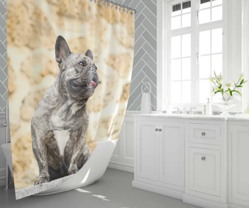 French Bulldog Adorable Charisma Playful Wonder Shower Curtain 1