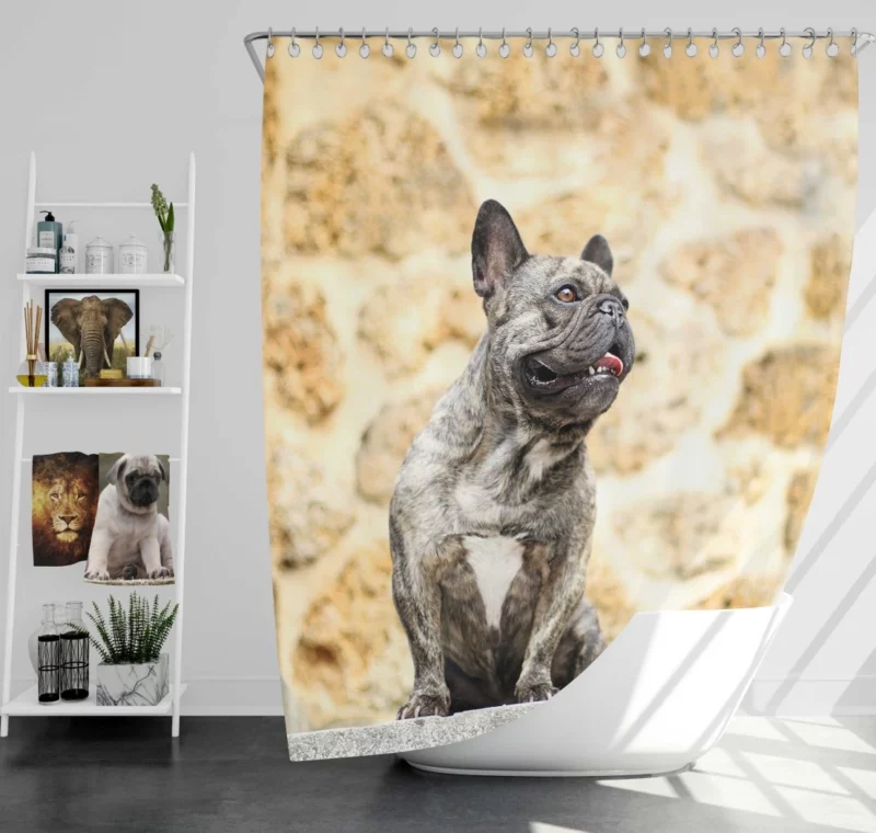 French Bulldog Adorable Charisma Playful Wonder Shower Curtain