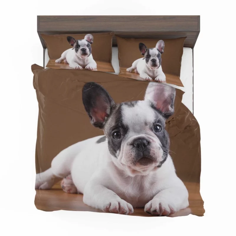 French Bulldog Adorable Muzzle Playful Innocence Bedding Set 1