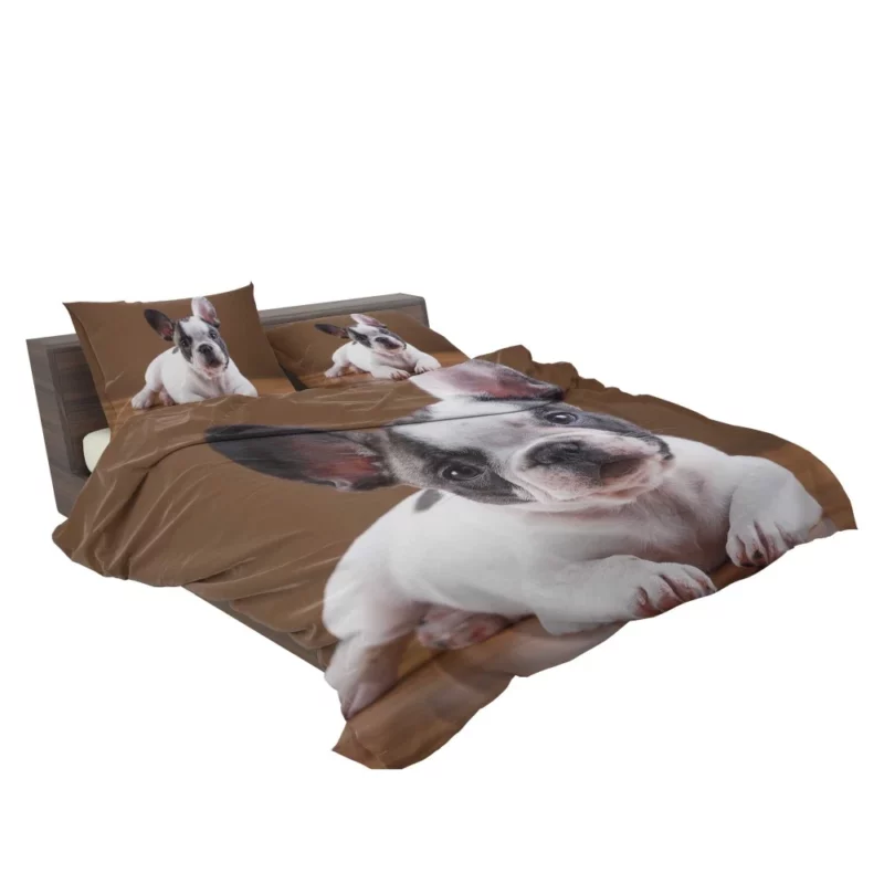 French Bulldog Adorable Muzzle Playful Innocence Bedding Set 2