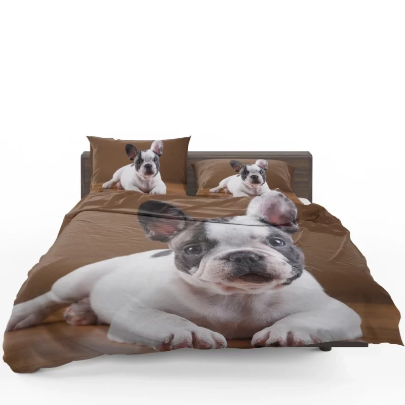 French Bulldog Adorable Muzzle Playful Innocence Bedding Set