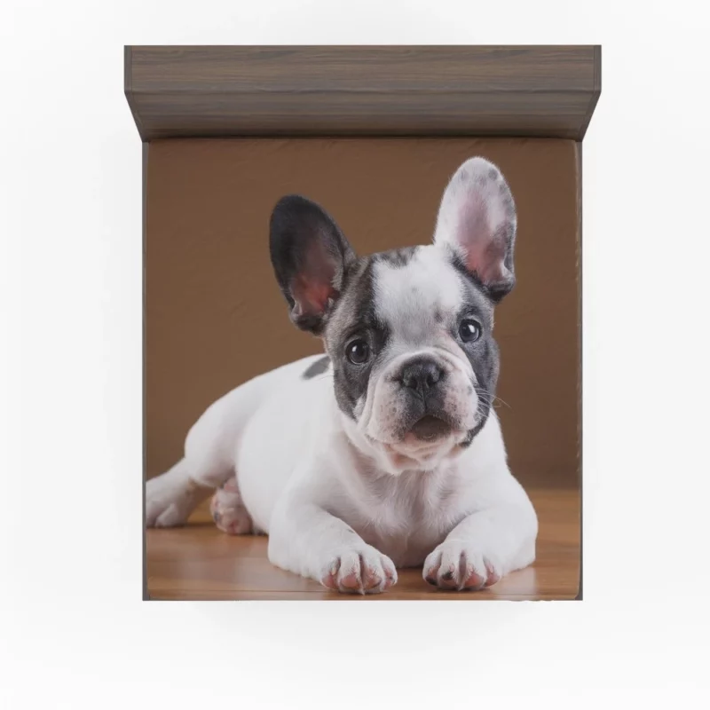 French Bulldog Adorable Muzzle Playful Innocence Fitted Sheet 1