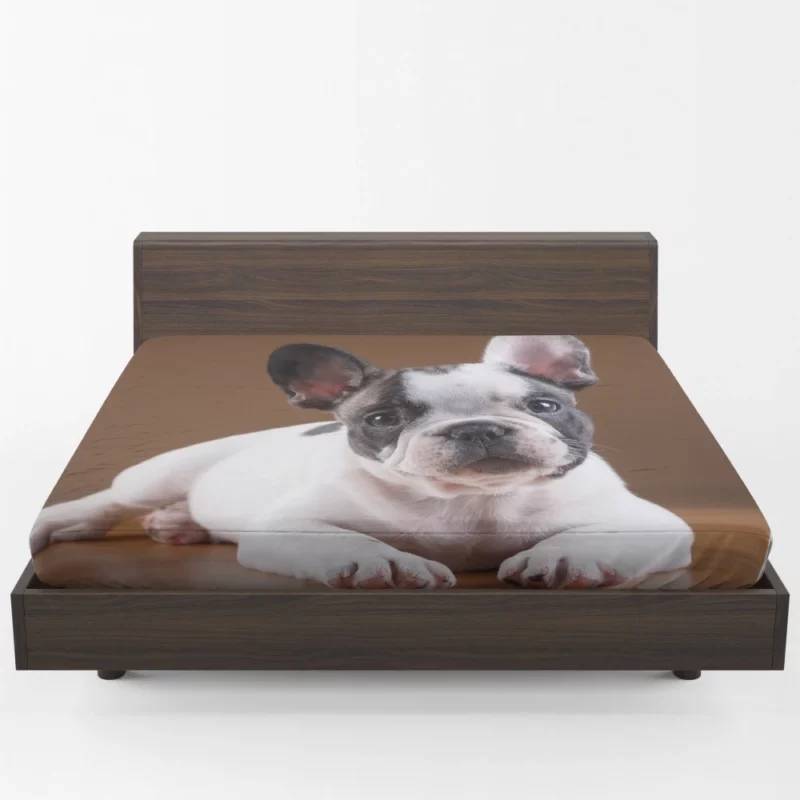 French Bulldog Adorable Muzzle Playful Innocence Fitted Sheet