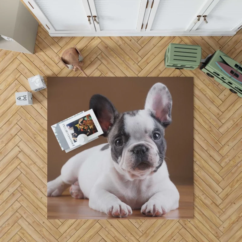 French Bulldog Adorable Muzzle Playful Innocence Rug