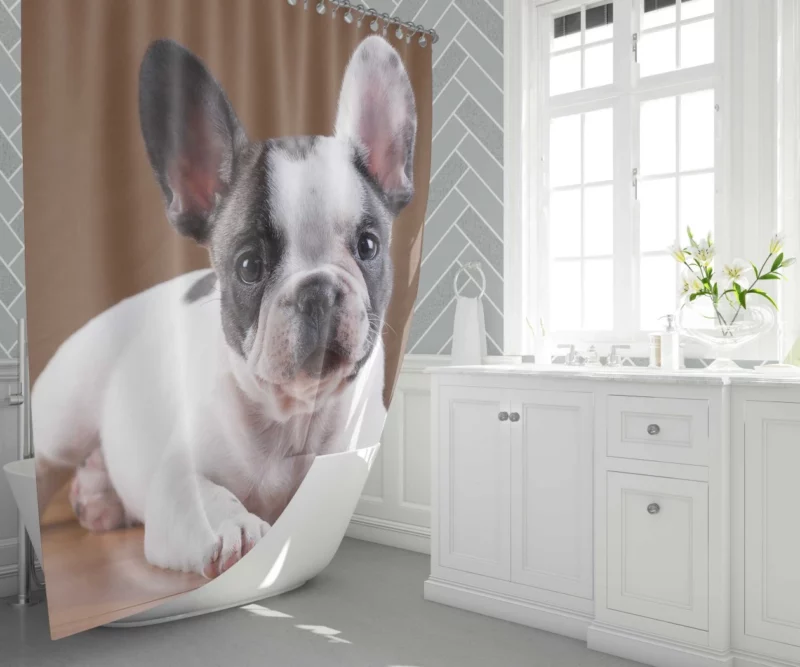 French Bulldog Adorable Muzzle Playful Innocence Shower Curtain 1