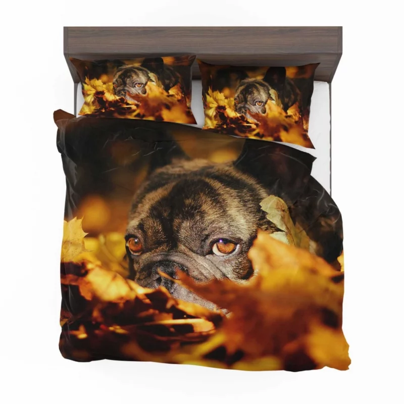 French Bulldog Amidst Fall Leaves Cozy Charm Bedding Set 1