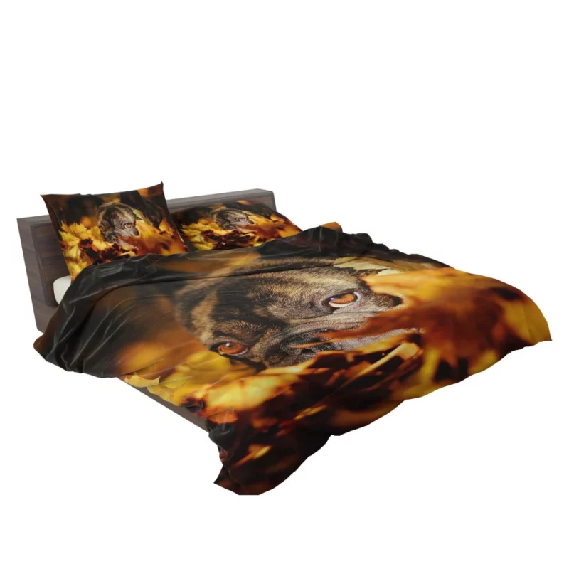 French Bulldog Amidst Fall Leaves Cozy Charm Bedding Set 2