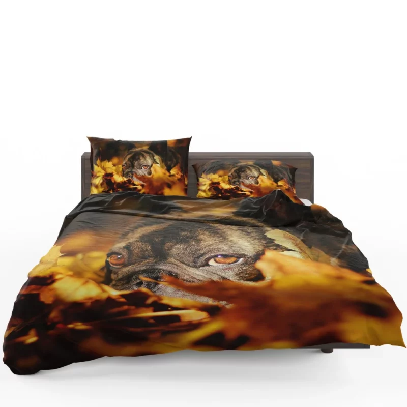 French Bulldog Amidst Fall Leaves Cozy Charm Bedding Set