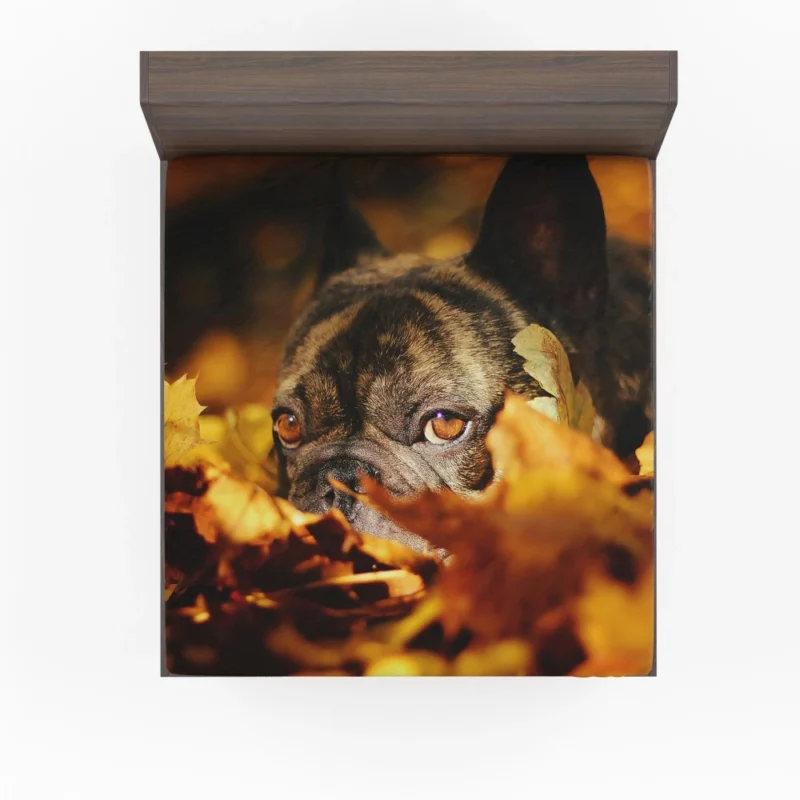 French Bulldog Amidst Fall Leaves Cozy Charm Fitted Sheet 1