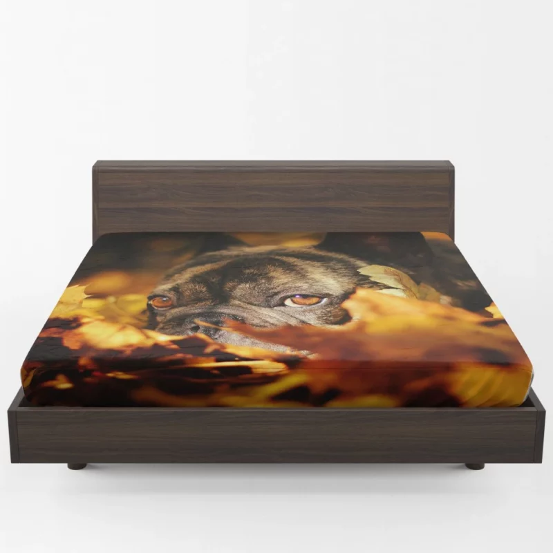 French Bulldog Amidst Fall Leaves Cozy Charm Fitted Sheet