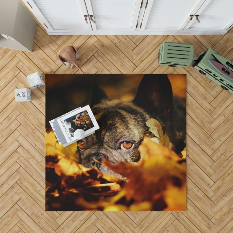 French Bulldog Amidst Fall Leaves Cozy Charm Rug