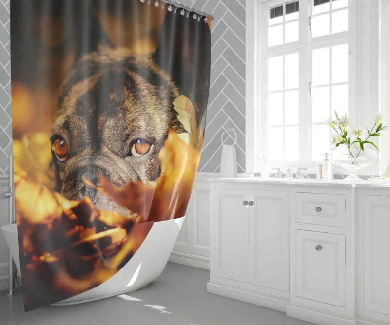 French Bulldog Amidst Fall Leaves Cozy Charm Shower Curtain 1