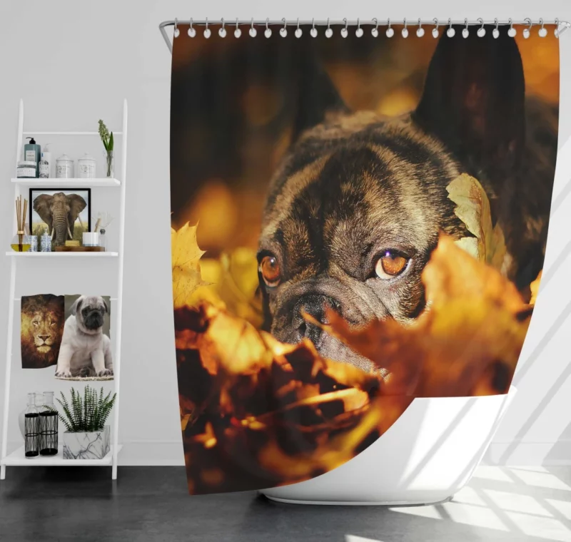 French Bulldog Amidst Fall Leaves Cozy Charm Shower Curtain