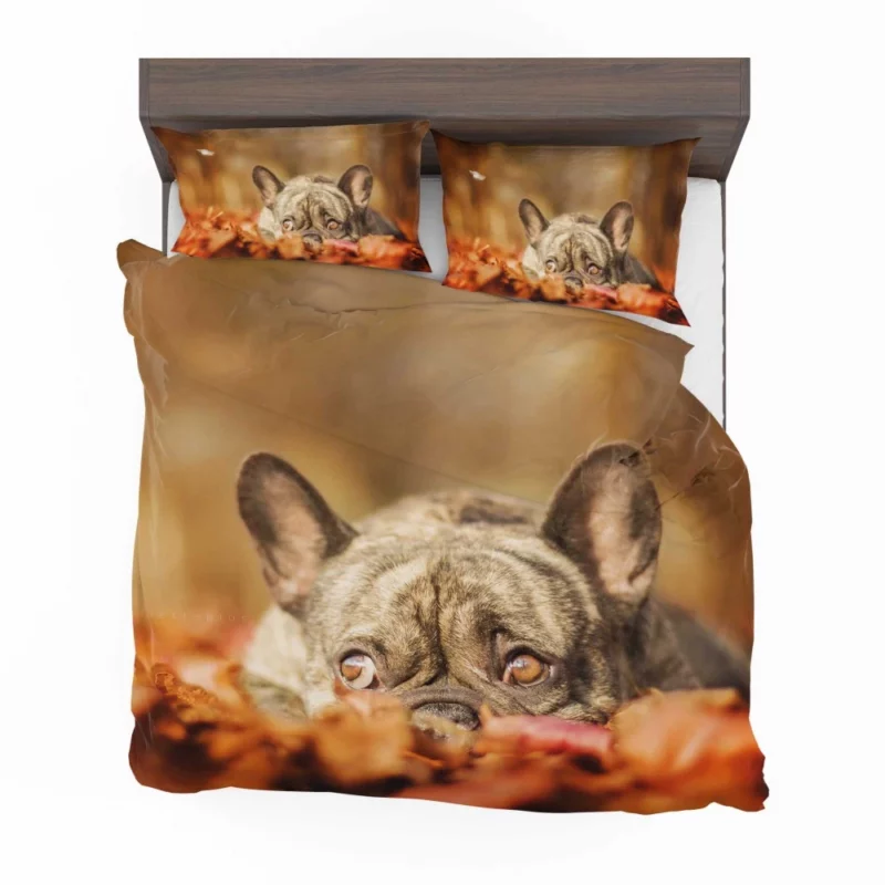 French Bulldog Autumn Adventure Bedding Set 1