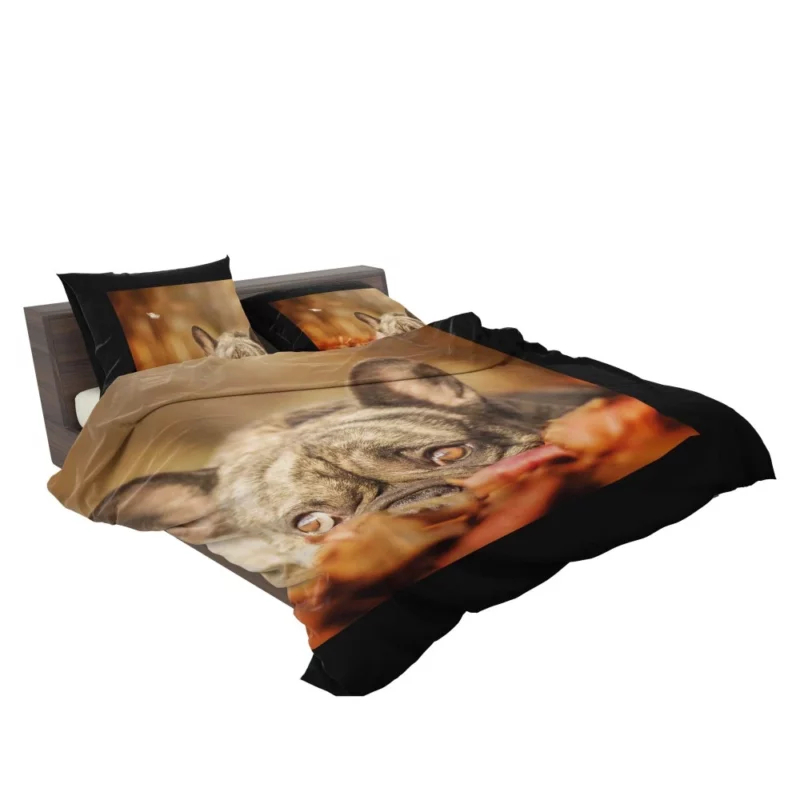 French Bulldog Autumn Adventure Bedding Set 2