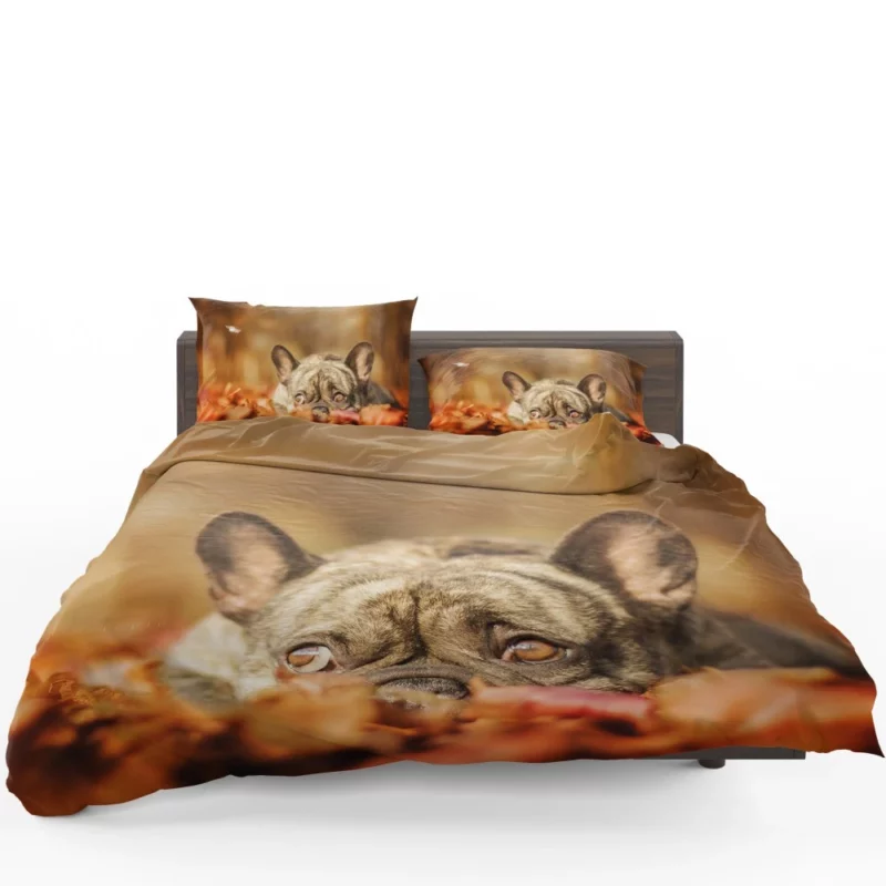 French Bulldog Autumn Adventure Bedding Set