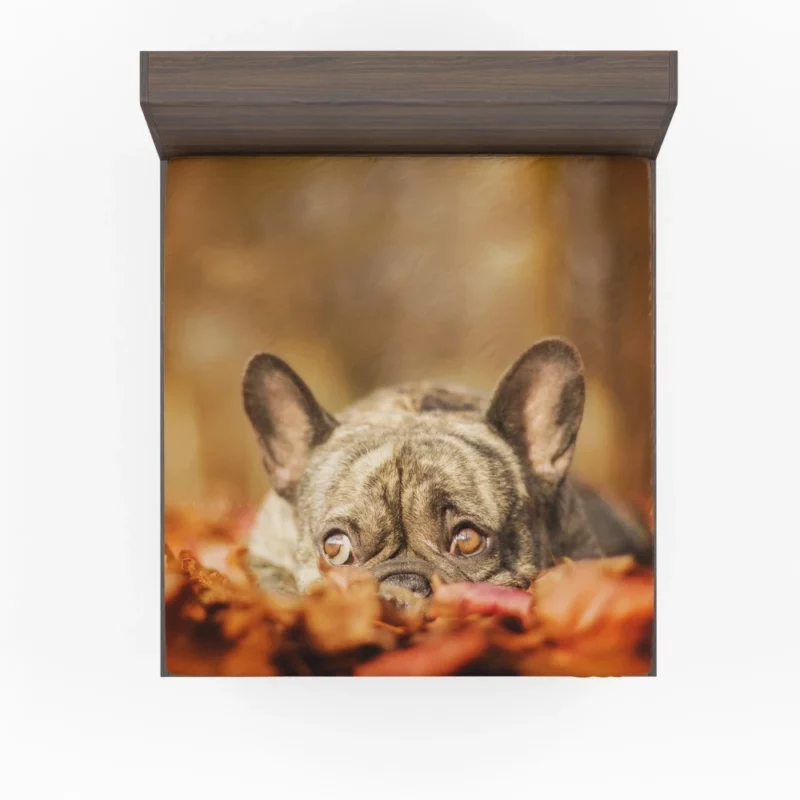 French Bulldog Autumn Adventure Fitted Sheet 1