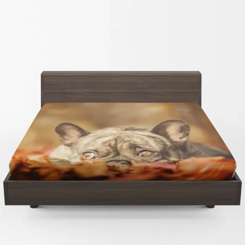 French Bulldog Autumn Adventure Fitted Sheet