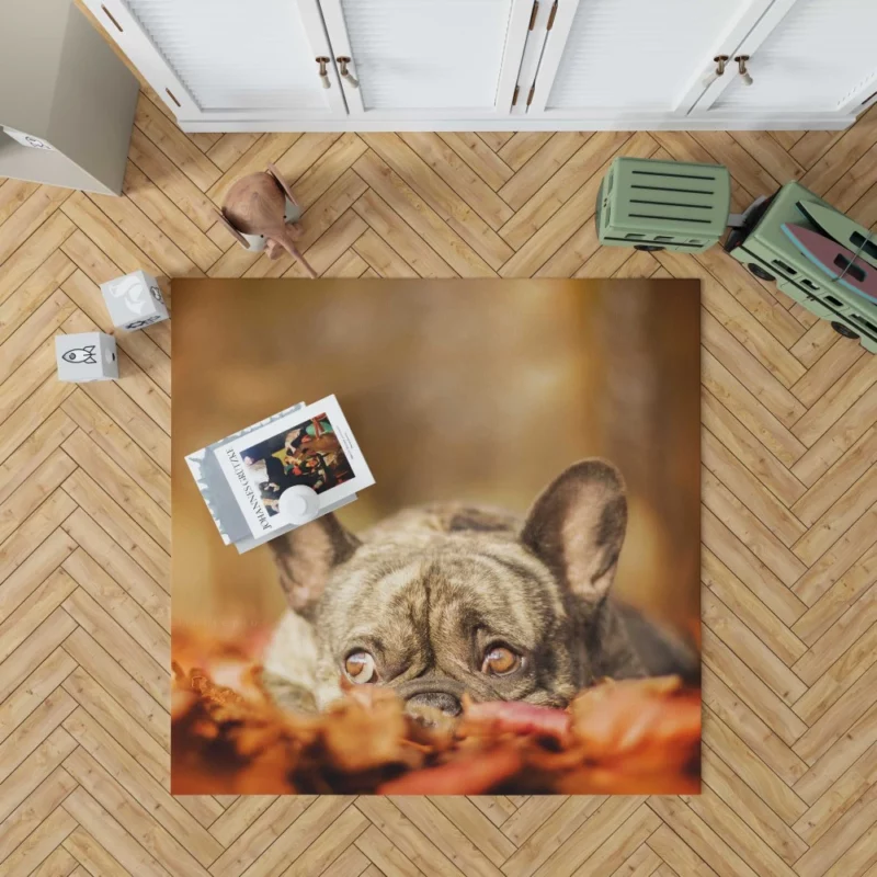 French Bulldog Autumn Adventure Rug