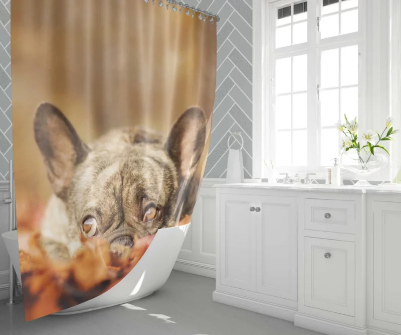 French Bulldog Autumn Adventure Shower Curtain 1