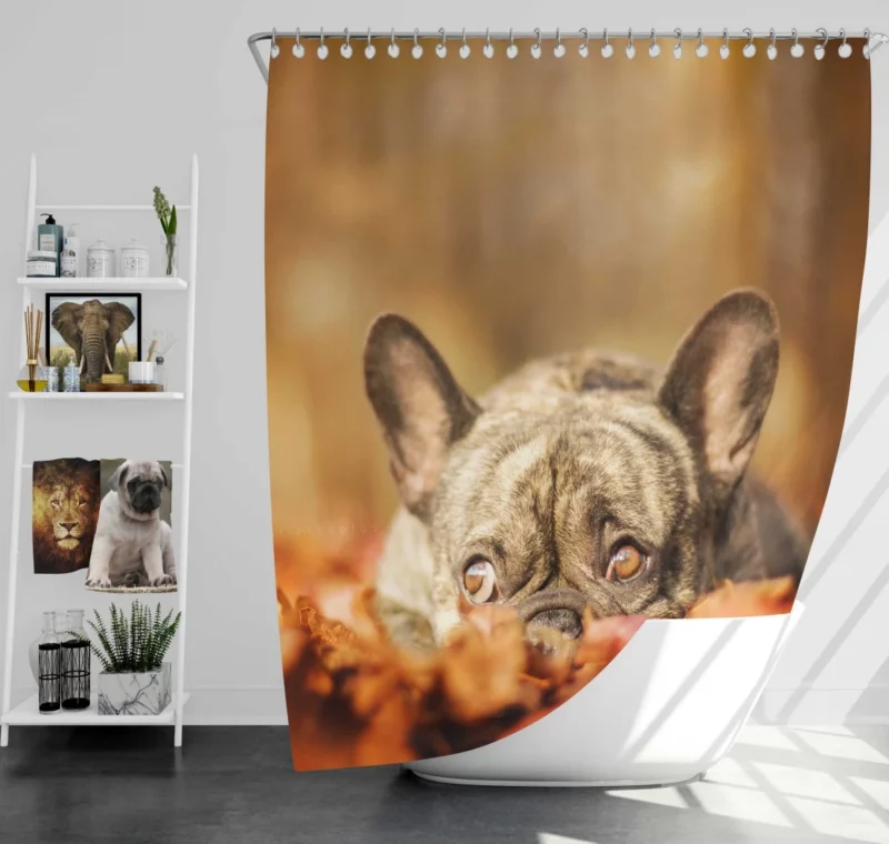 French Bulldog Autumn Adventure Shower Curtain