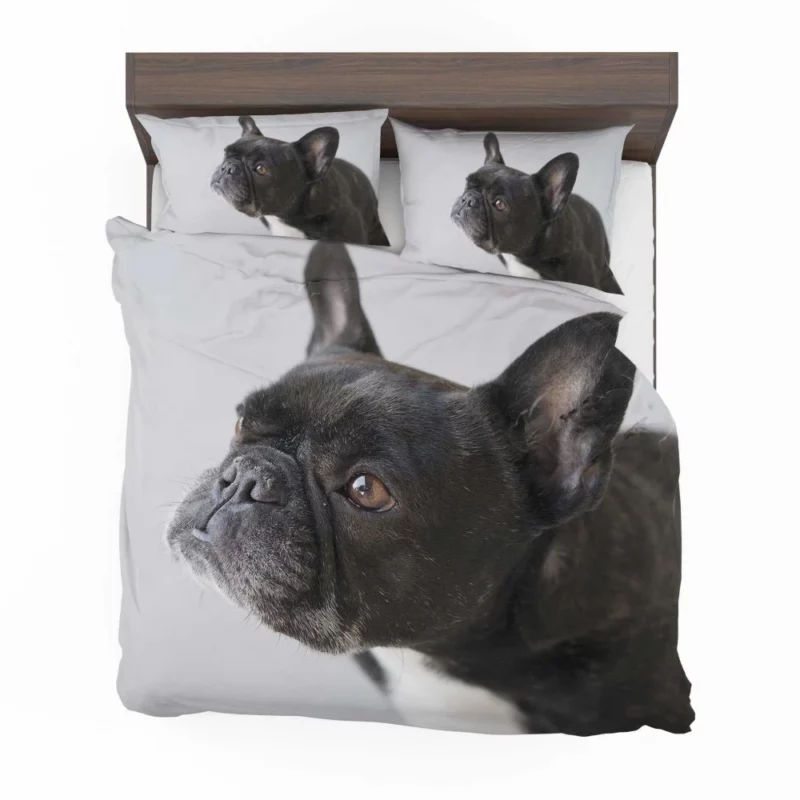 French Bulldog Charming Muzzle Bedding Set 1