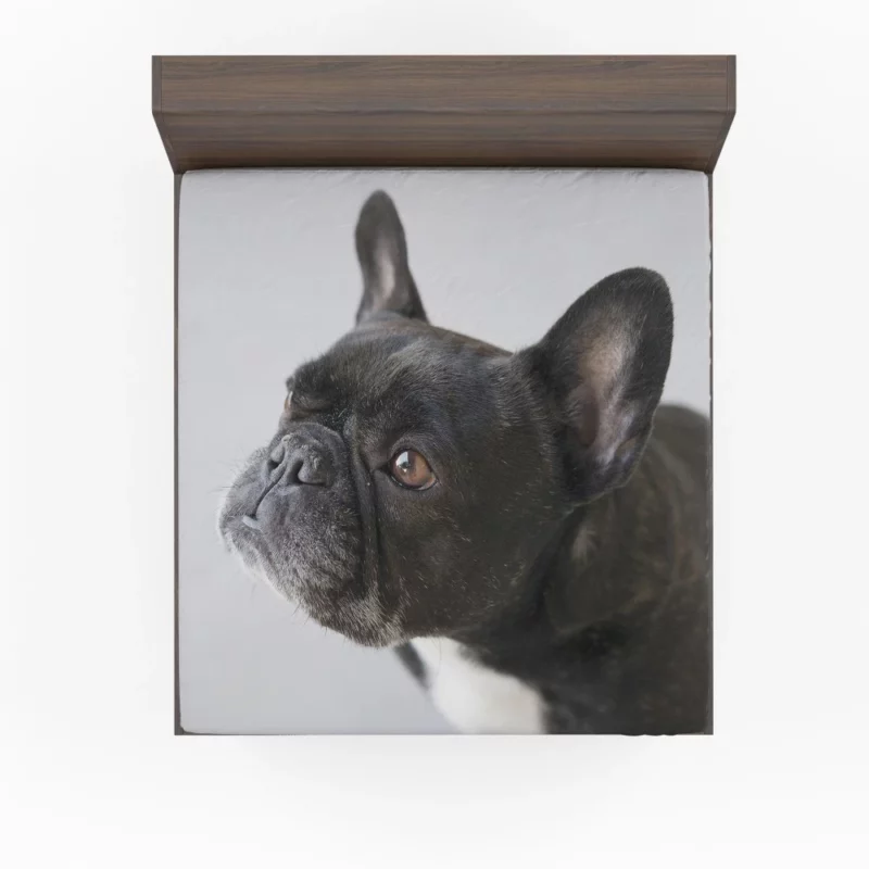 French Bulldog Charming Muzzle Fitted Sheet 1