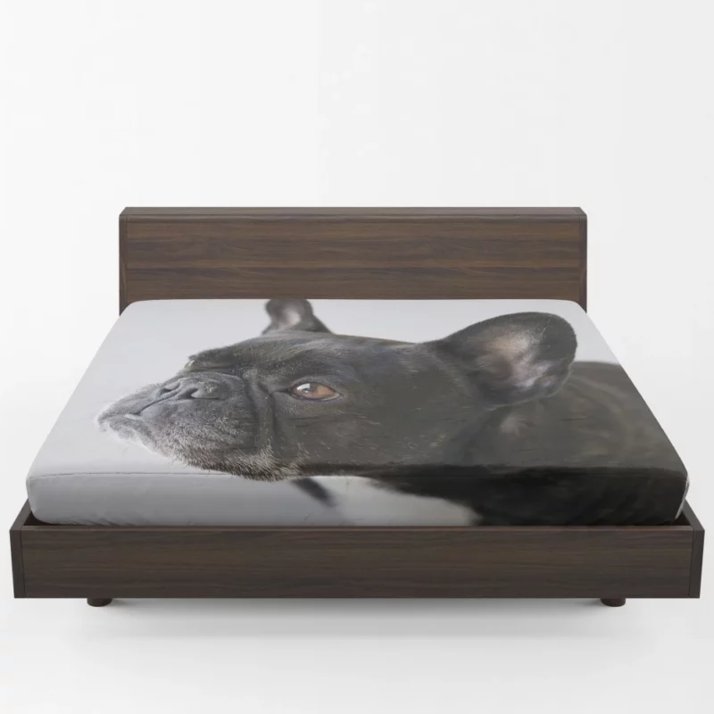 French Bulldog Charming Muzzle Fitted Sheet