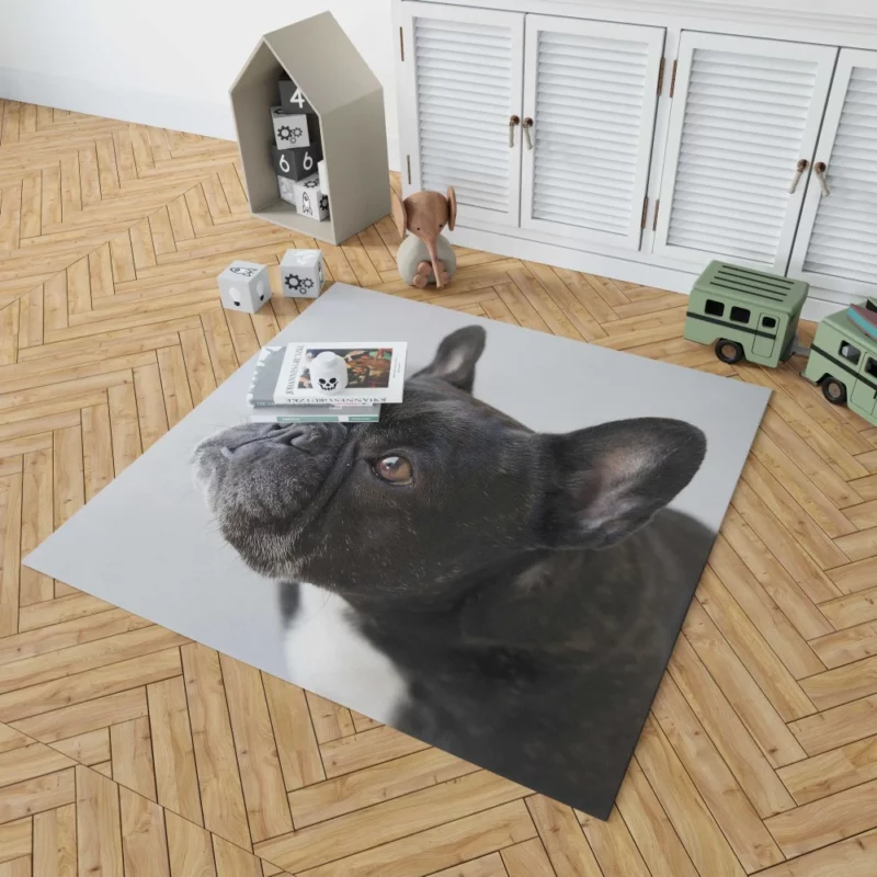 French Bulldog Charming Muzzle Rug 1