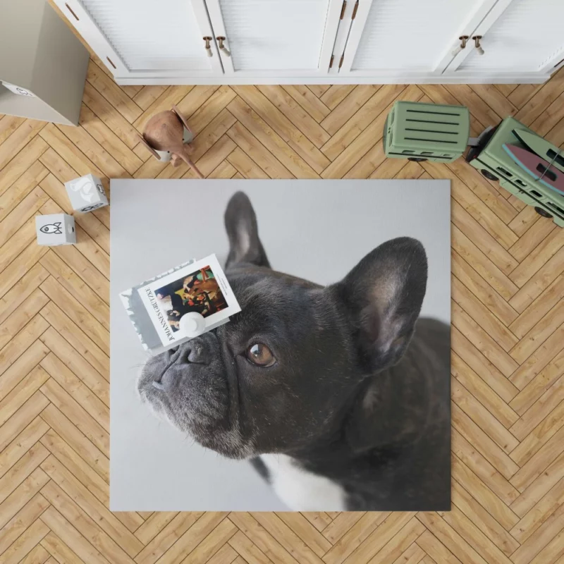 French Bulldog Charming Muzzle Rug