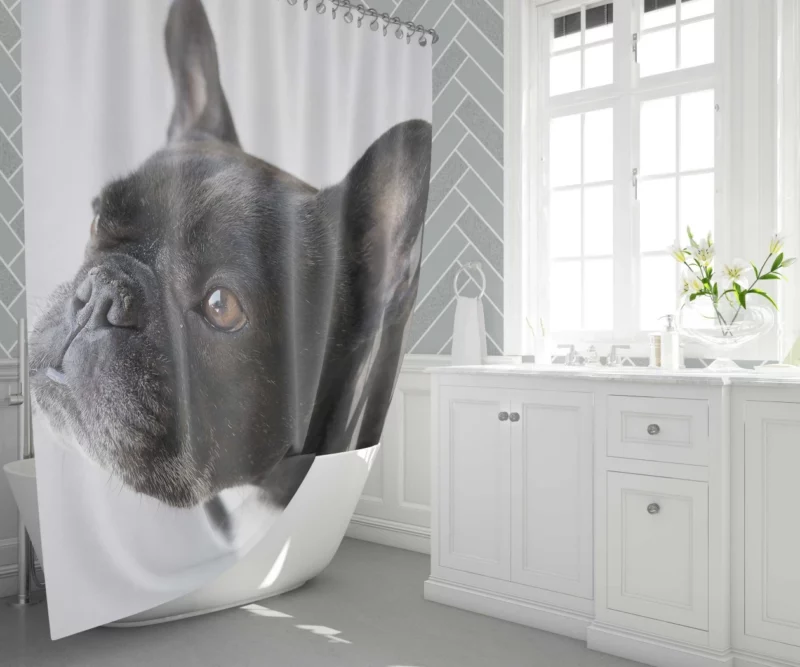 French Bulldog Charming Muzzle Shower Curtain 1