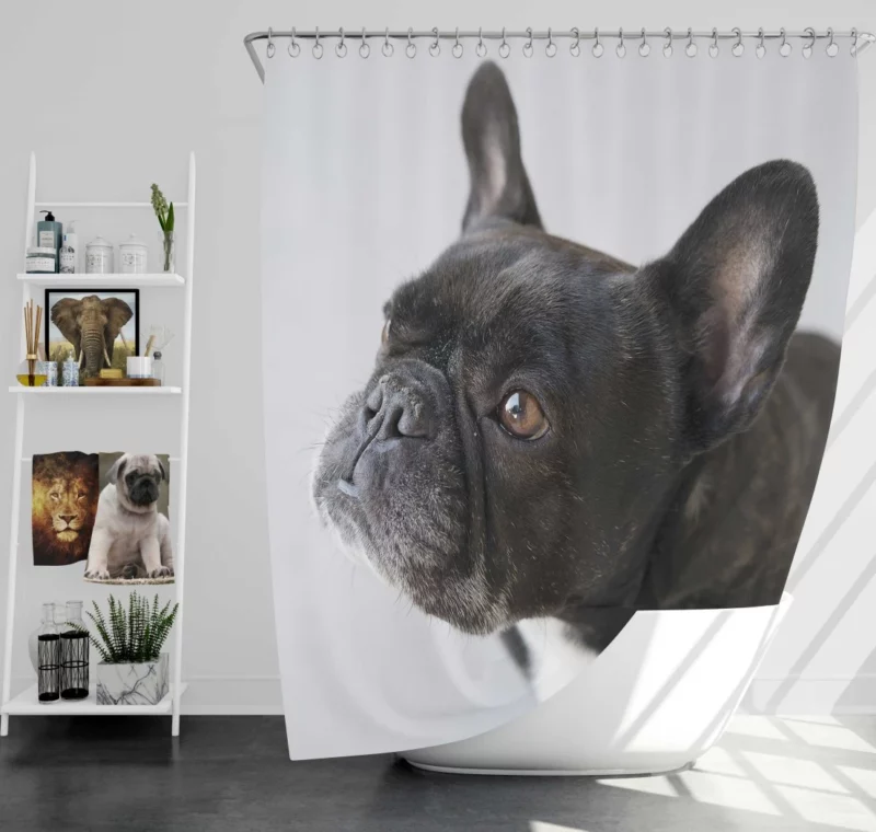 French Bulldog Charming Muzzle Shower Curtain