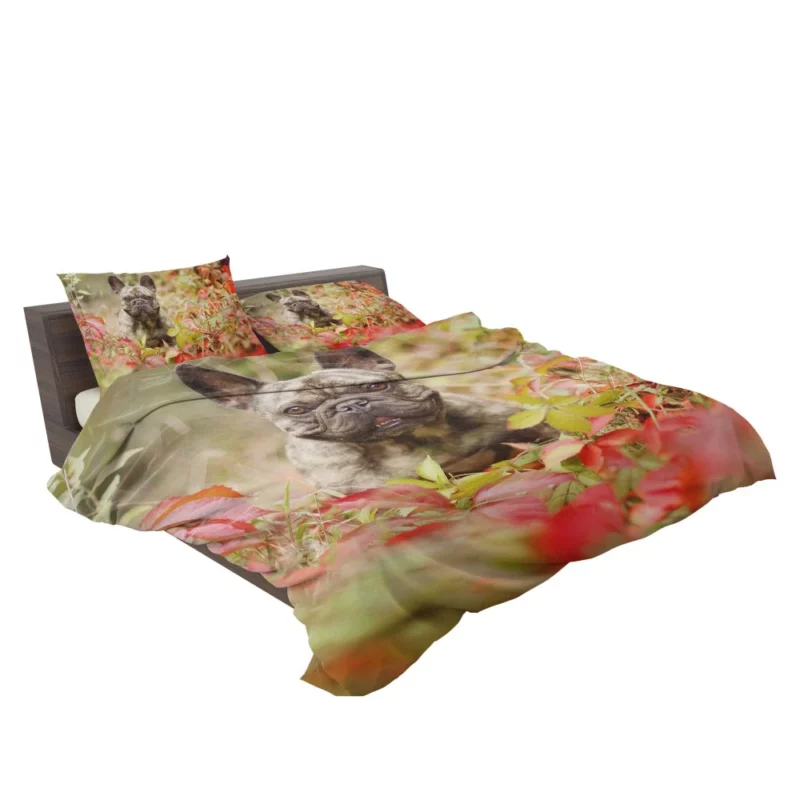 French Bulldog Charming Persona Endearing Grace Bedding Set 2